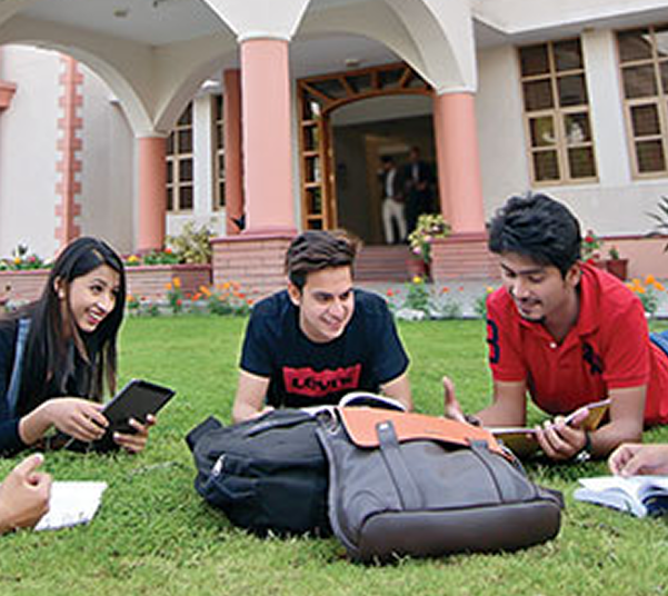 Students studying together on the lawn in front of university building